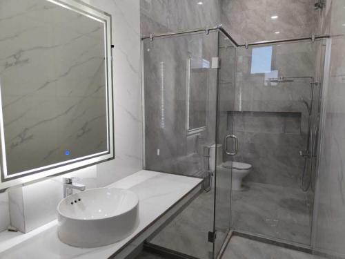 Gallery 20